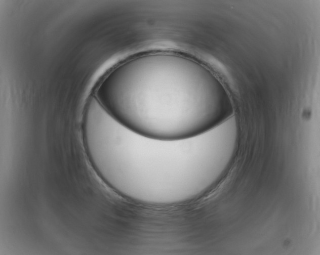 X0000096941326200802080850