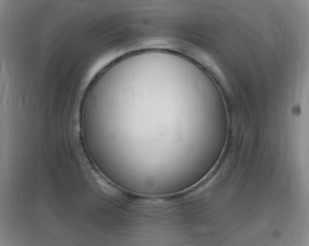 X0000096941328200802080850