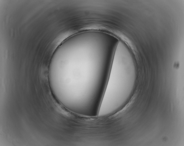 X0000096941329200802080850