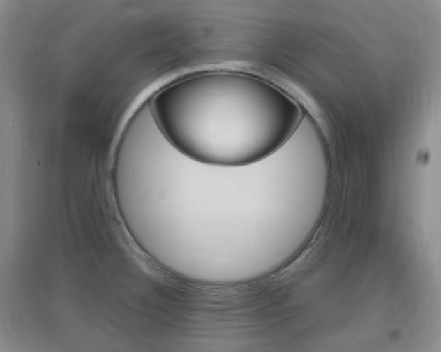 X0000096941332200802080850