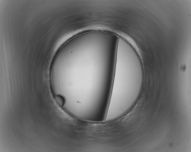 X0000096941335200802080850