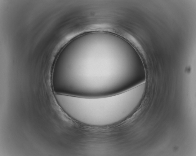 X0000096941336200802080850