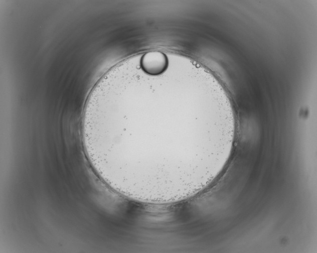 X0000096941338200802080850