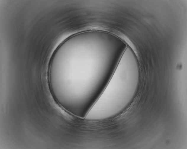 X0000096941339200802080850