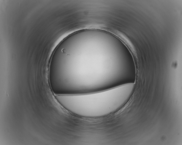 X0000096941340200802080850