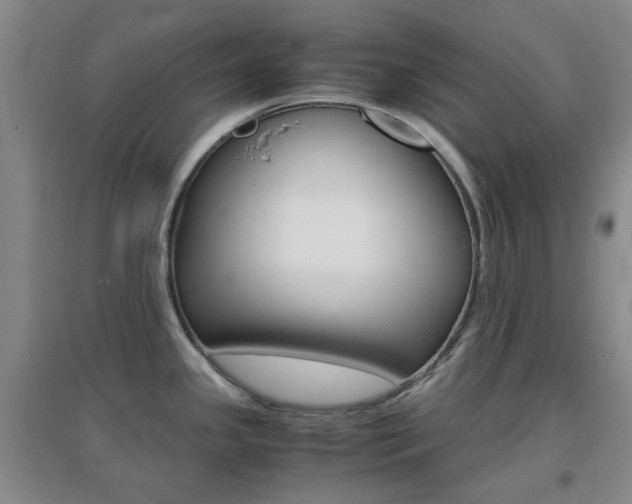 X0000096941341200802080850