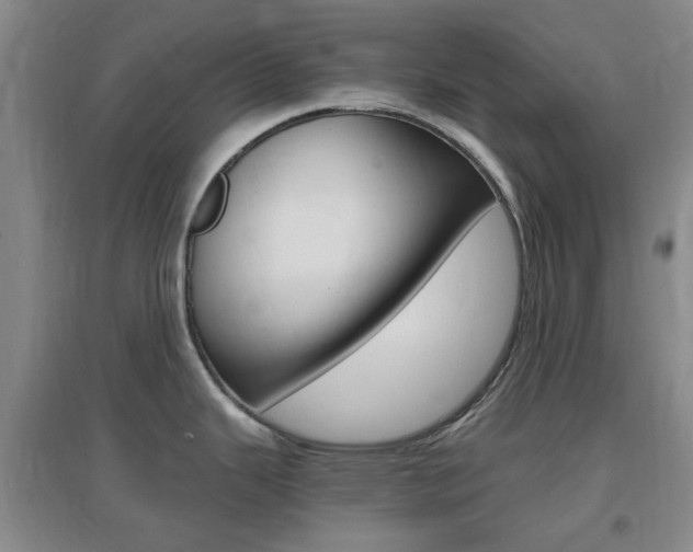 X0000096941343200802080850