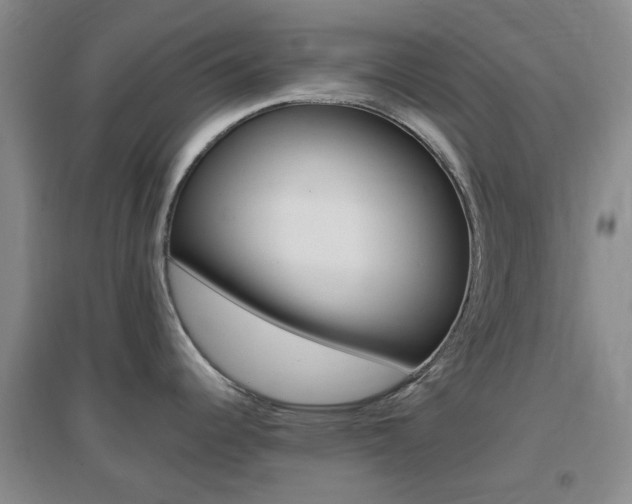 X0000096941344200802080850