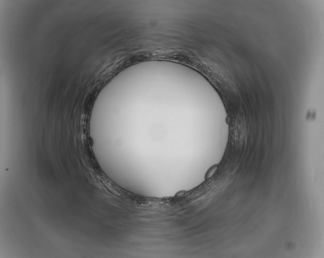 X0000096941346200802080849