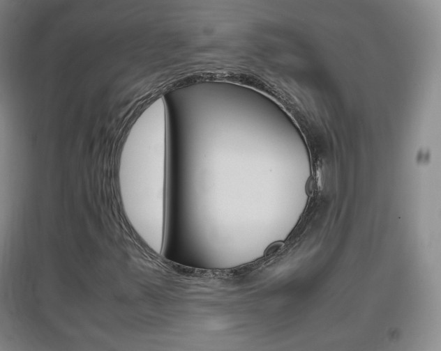 X0000096941347200802080849