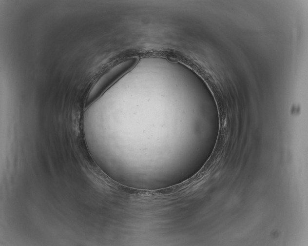 X0000096941348200802080849