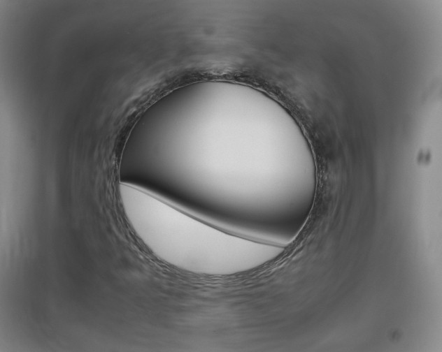 X0000096941349200802080849