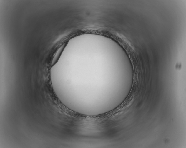 X0000096941350200802080849
