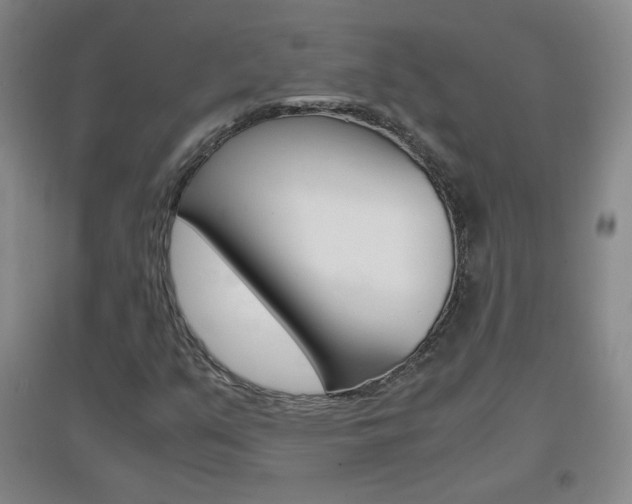 X0000096941351200802080849