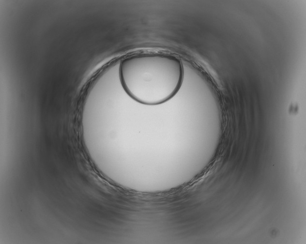 X0000096941352200802080849
