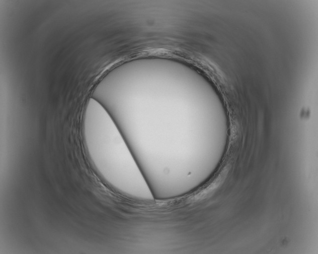 X0000096941353200802080849