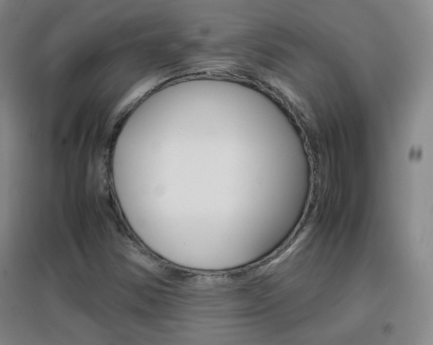 X0000096941354200802080849