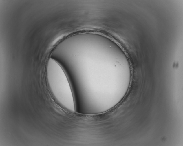 X0000096941355200802080849
