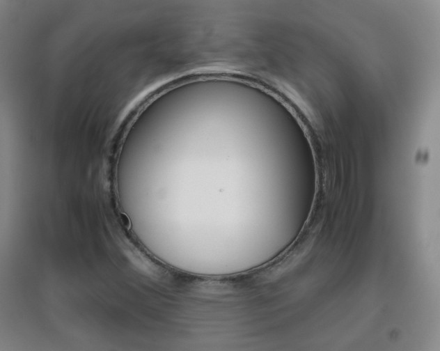 X0000096941356200802080849