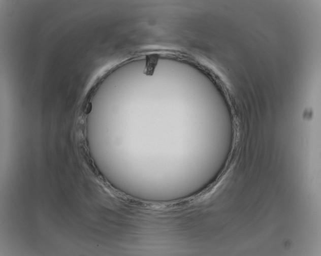 X0000096941357200802080849