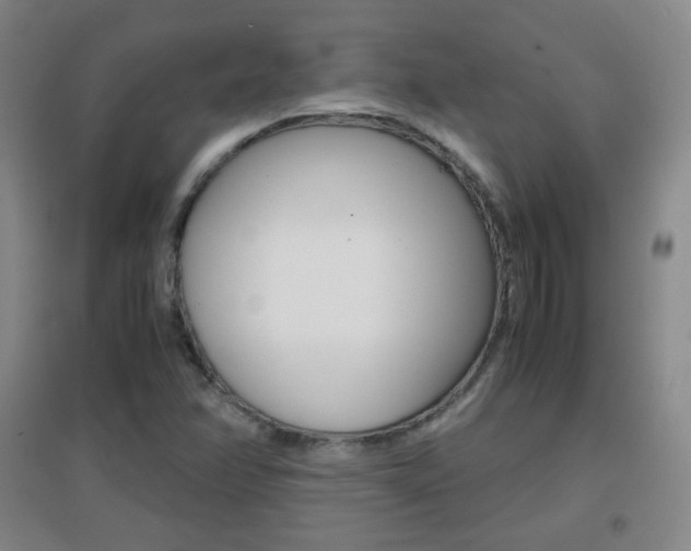 X0000096941358200802080849