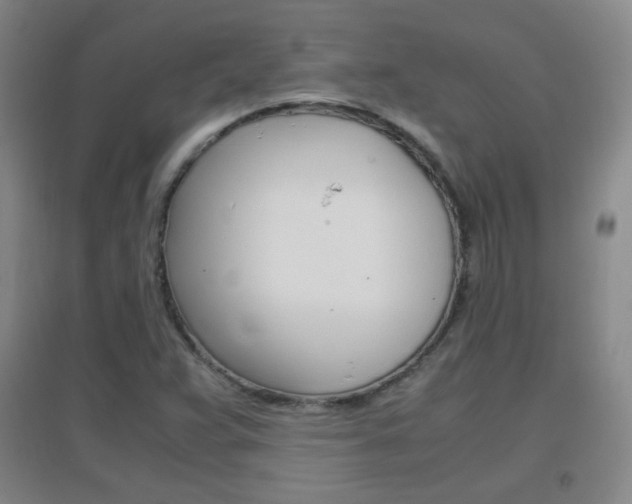 X0000096941359200802080849