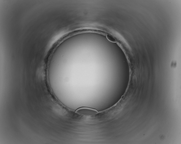 X0000096941360200802080849