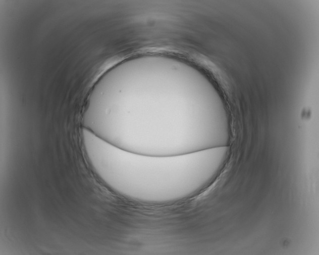 X0000096941361200802080849