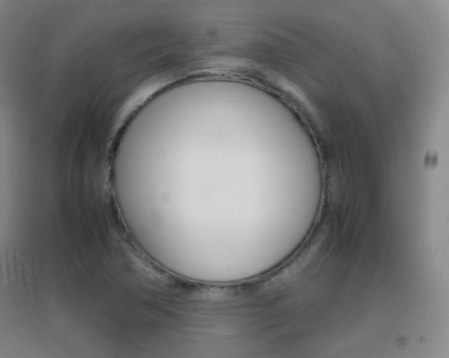 X0000096941362200802080849