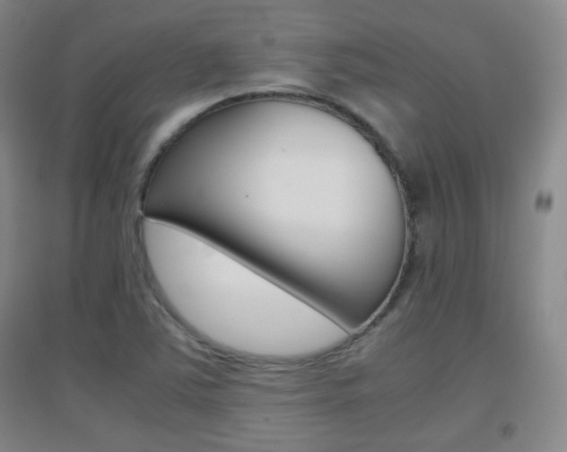X0000096941363200802080849