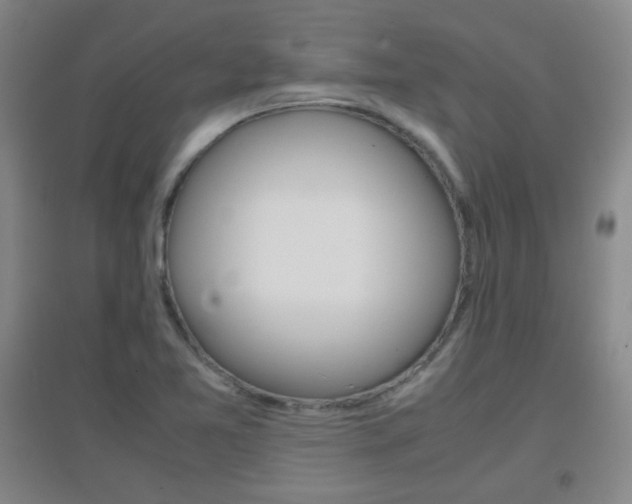 X0000096941365200802080849