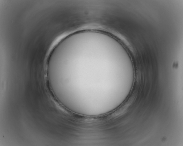 X0000096941366200802080849