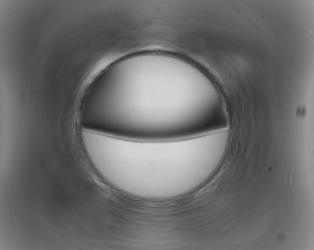 X0000096941367200802080849