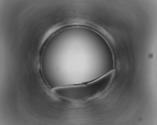 X0000096941368200802080849