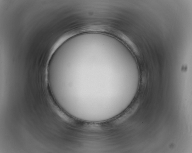 X0000096941370200802080849
