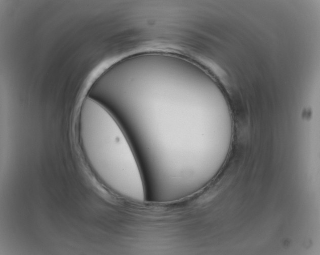 X0000096941371200802080849