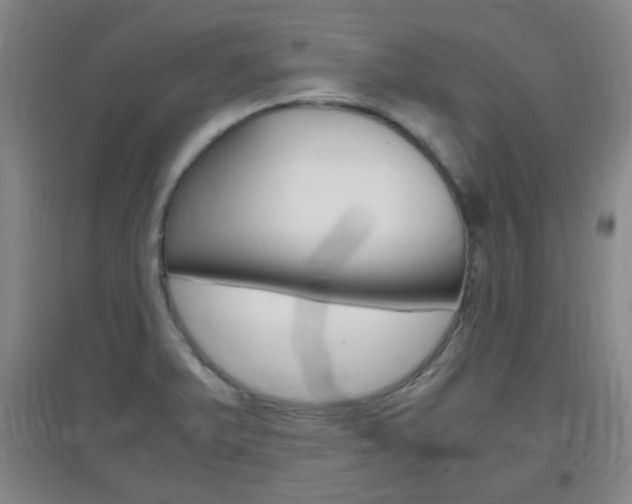 X0000096941375200802080849