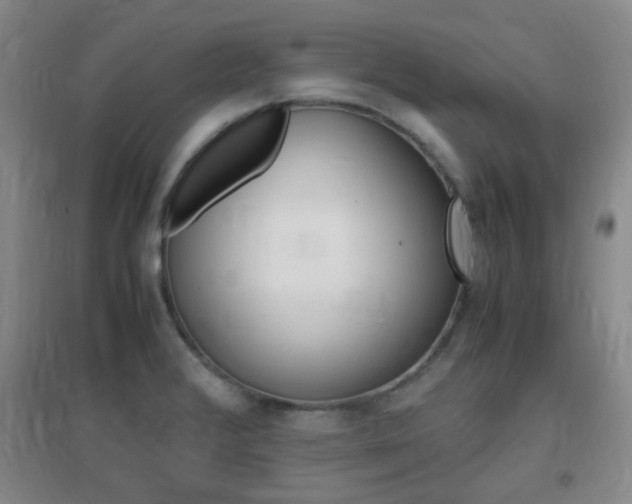 X0000096941376200802080849