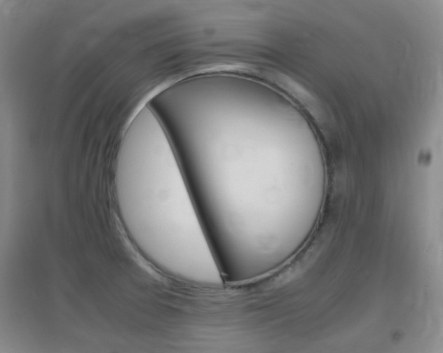X0000096941377200802080849