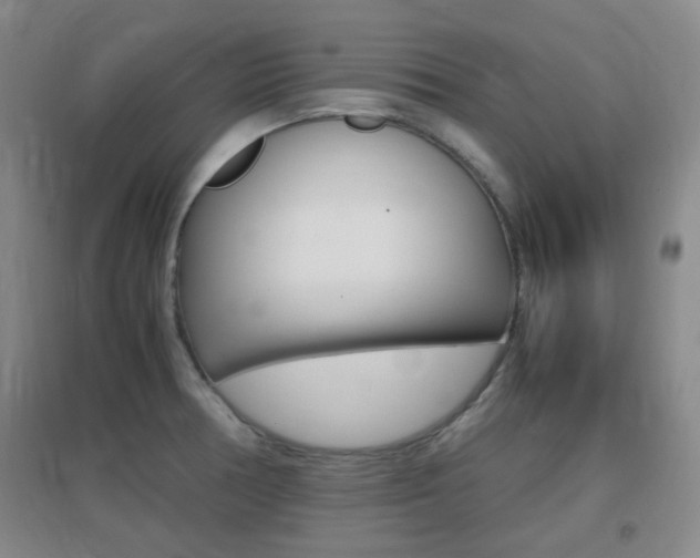 X0000096941378200802080849