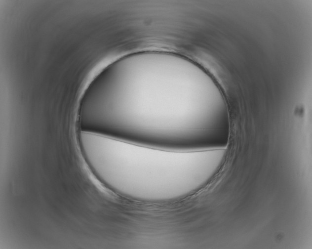 X0000096941379200802080849