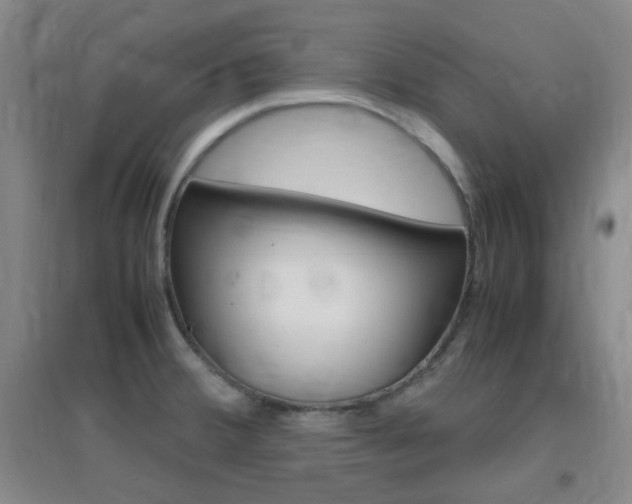 X0000096941380200802080849