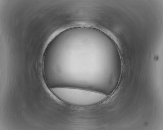X0000096941381200802080849