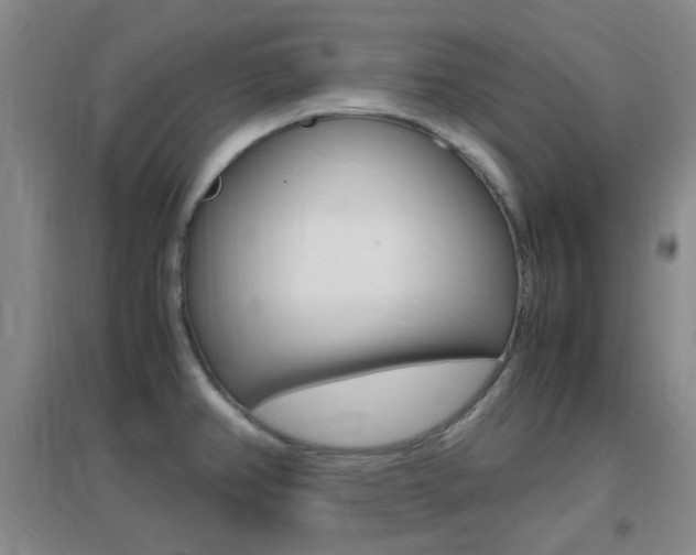 X0000096941382200802080849