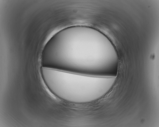 X0000096941383200802080849