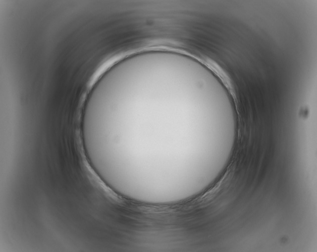 X0000096941384200802080849