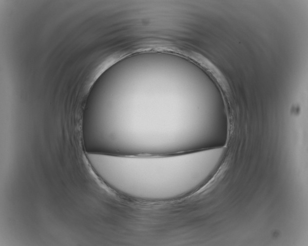 X0000096941385200802080849
