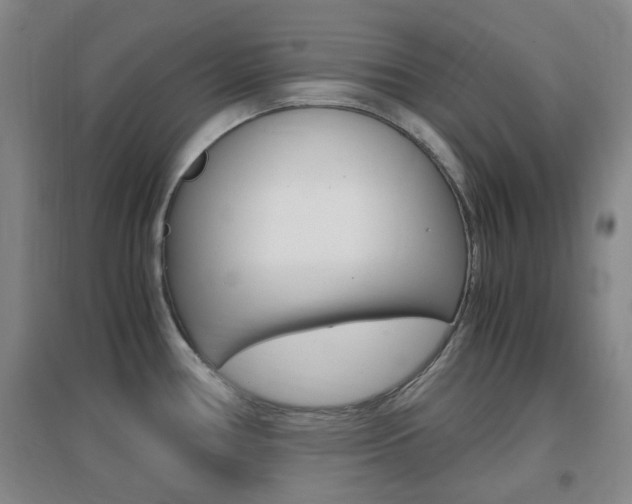 X0000096941386200802080849