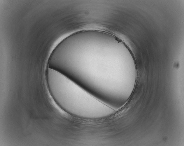 X0000096941387200802080849