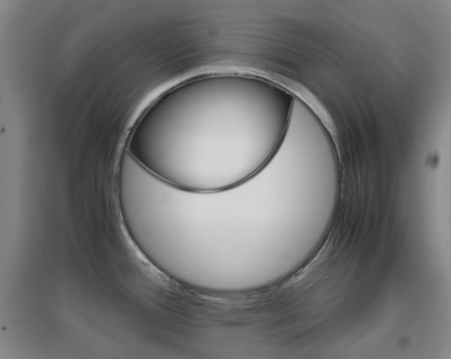 X0000096941388200802080849
